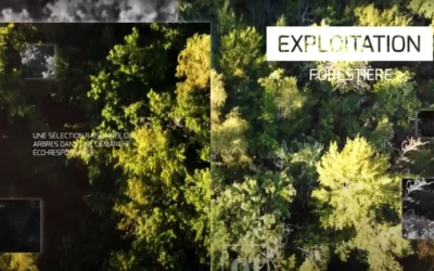 Vidéo | Scierie Larue