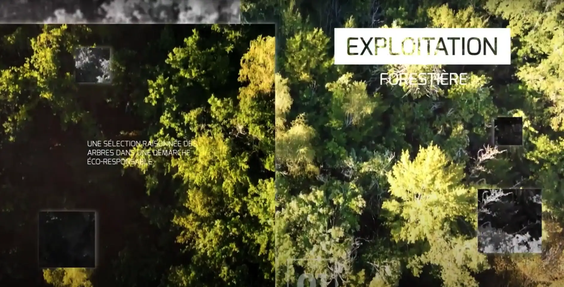 Screenshot-vidéo-scierie-larue